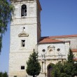 Pedraza de Campos