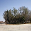 Pedraza (6)